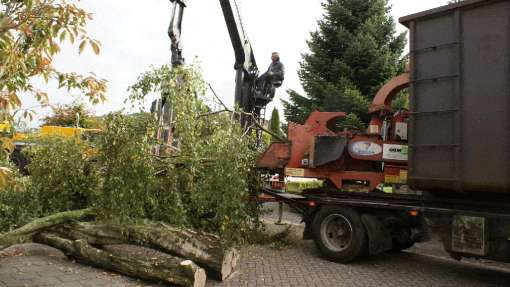 Bomen rooien Buchten